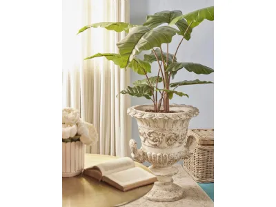 Vaso Alocasia in stile classico di EDG