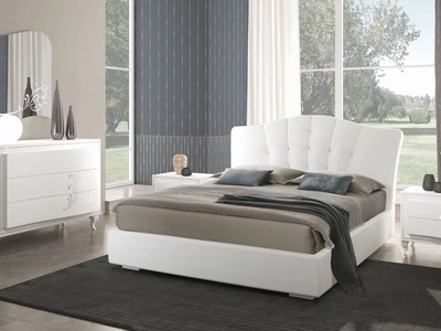 Gruppo Notte Maya di Adriatica